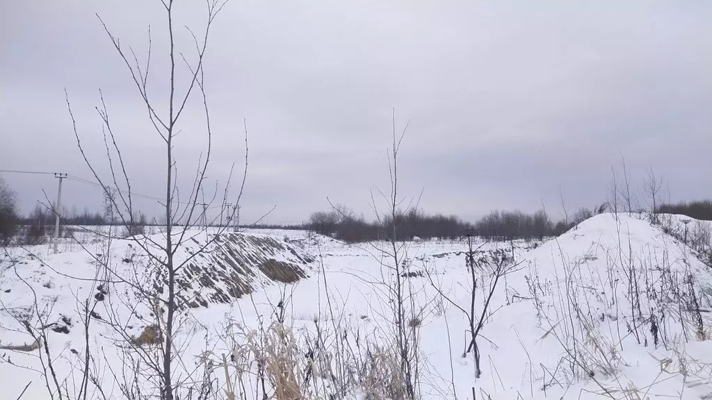 Участок в Ленинградская область, Всеволожский район, Колтушское ... - Фото 0