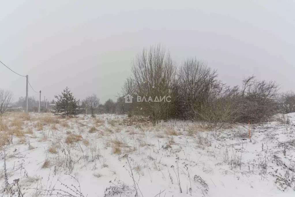 Участок в Владимирская область, Суздальский район, Новоалександровское ... - Фото 2