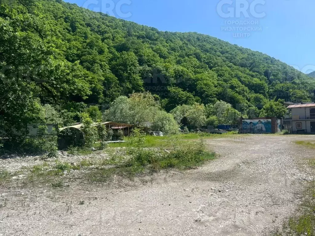 Участок в Краснодарский край, Сочи городской округ, Красная Поляна пгт ... - Фото 1