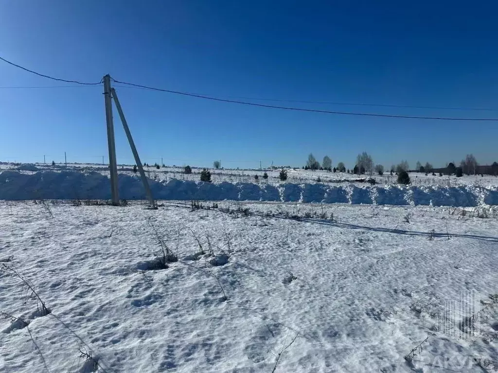 Участок в Пермский край, Пермский муниципальный округ, д. Большакино, ... - Фото 1