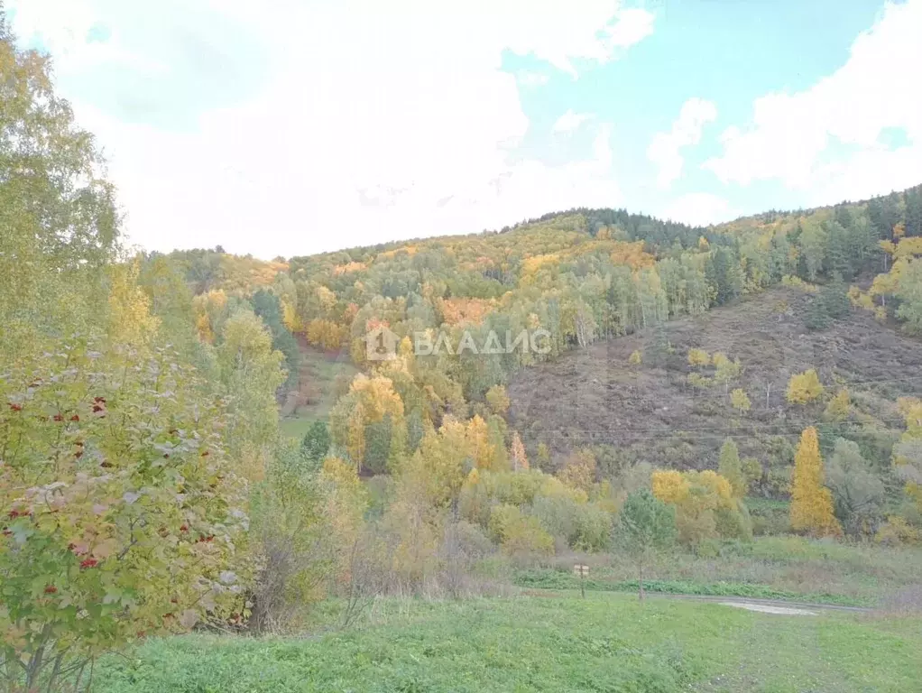 Участок 3,18 га (СНТ, ДНП) - Фото 1