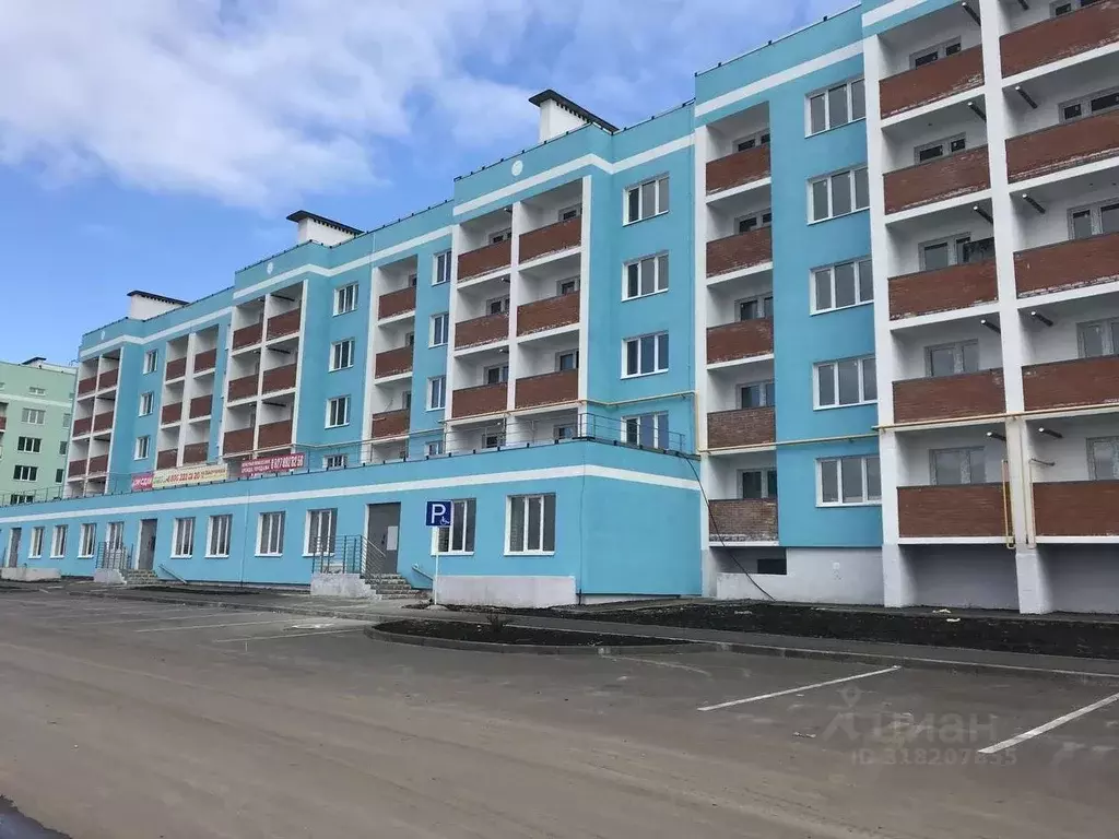 1-к кв. Самарская область, Волжский район, Петра Дубрава городское ... - Фото 0