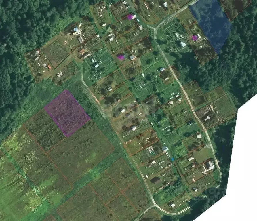 Участок в Вологодская область, пос. Васильевское  (25.0 сот.) - Фото 1