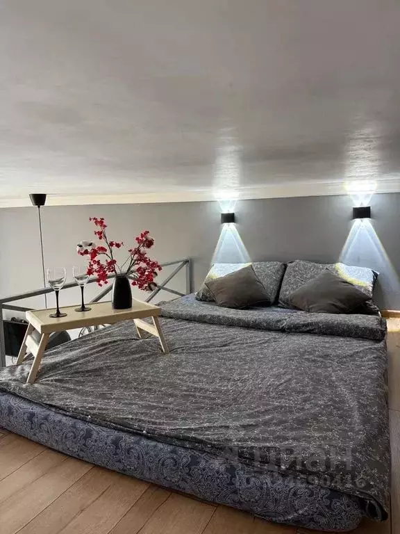 Студия Москва Ботаническая ул., 41К7 (24.0 м) - Фото 2