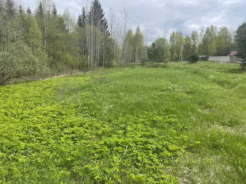 Участок в Новгородская область, Боровичский район, Сушанское с/пос, ... - Фото 1