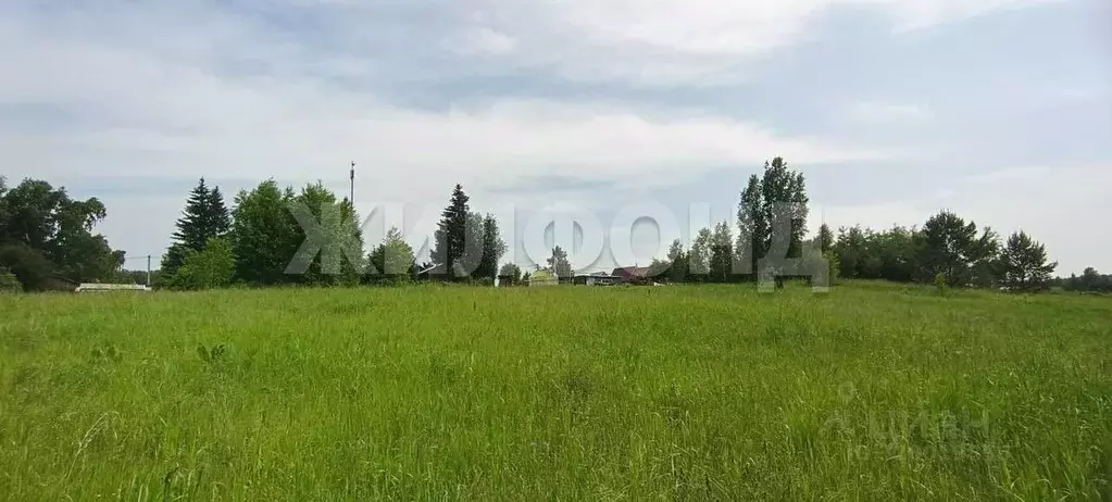 Участок в Новосибирская область, Новосибирский район, Кудряшовский ... - Фото 0