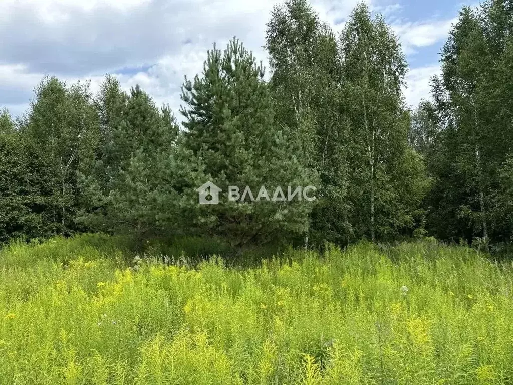 Участок в Нижегородская область, Городецкий муниципальный округ, д. ... - Фото 1