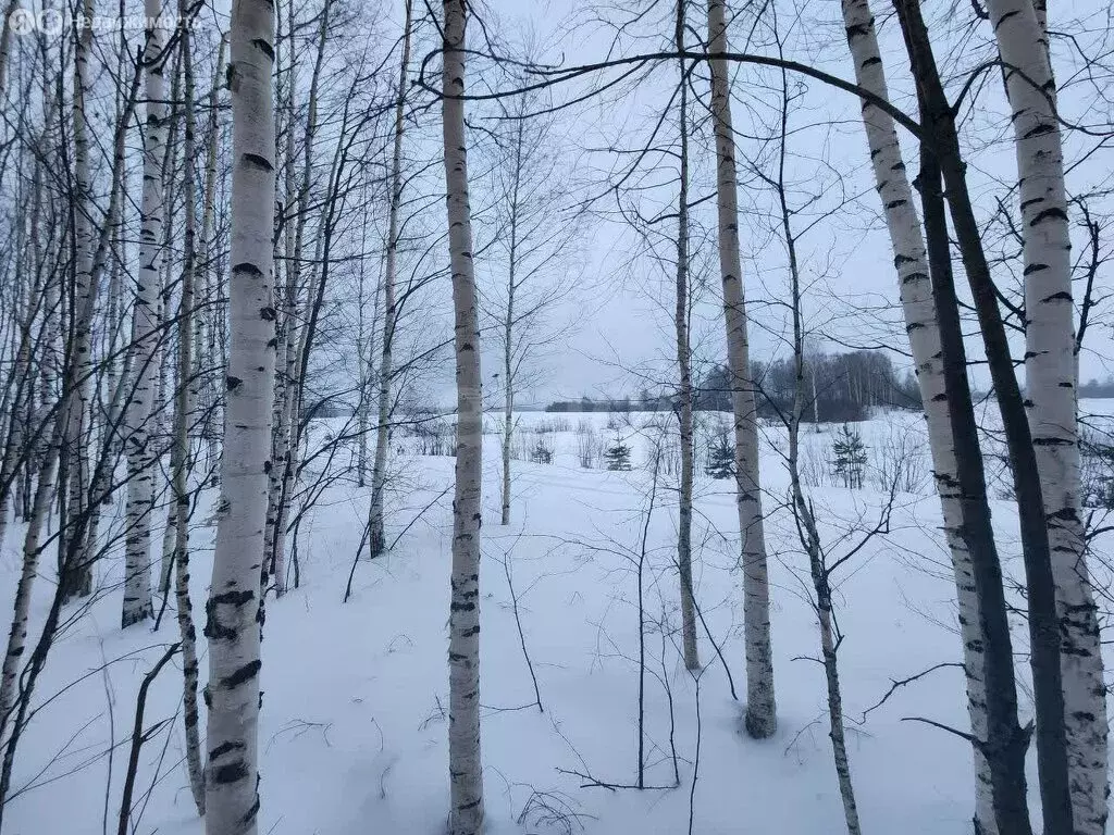 Участок в деревня Русский Кукмор, Зелёная улица (12.61 м) - Фото 0