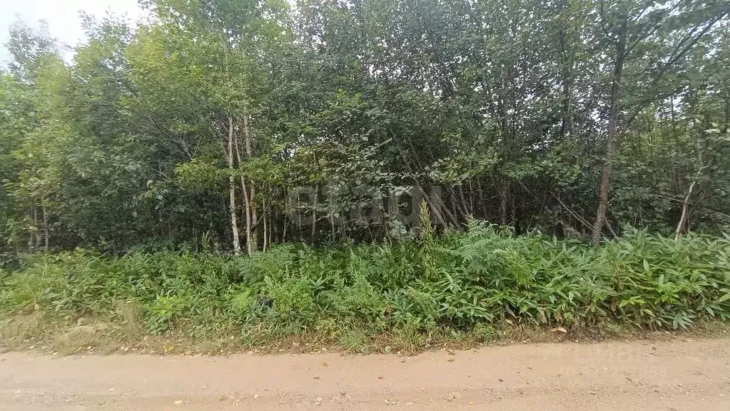 Участок в Сахалинская область, Южно-Сахалинск  (15.0 сот.) - Фото 1