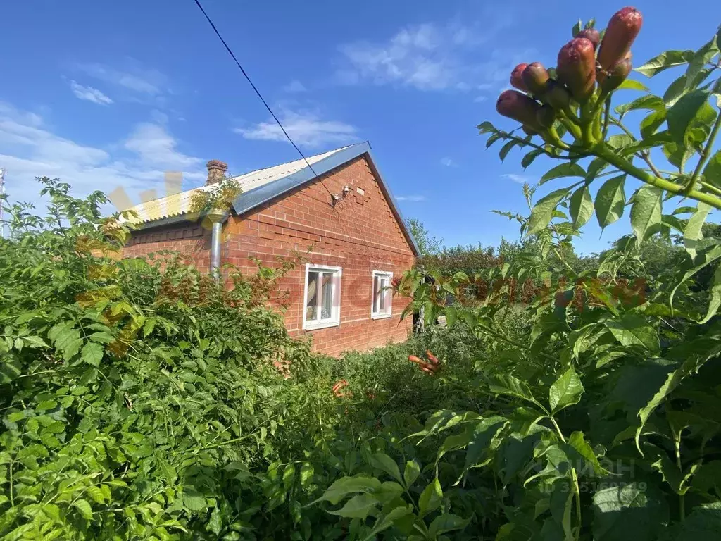 Дом в Краснодарский край, Ейский район, Копанское с/пос, Копанская ... - Фото 1