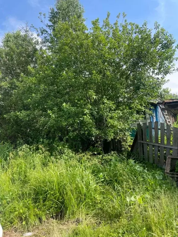 Участок в Кемеровская область, Таштагол ул. Ушакова (8.3 сот.) - Фото 1