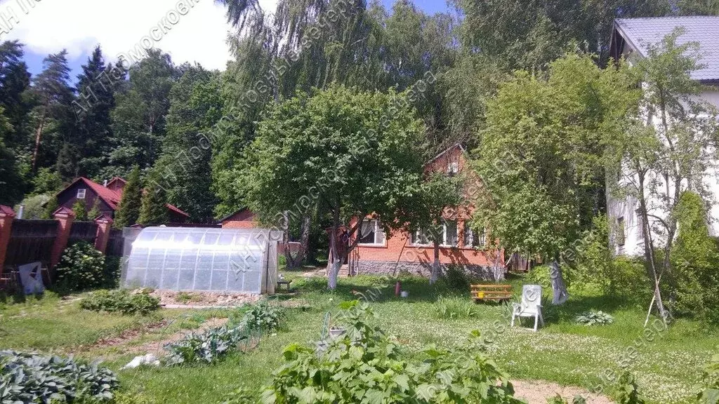 Участок в Одинцовский городской округ, садовое товарищество Конник (12 ... - Фото 1