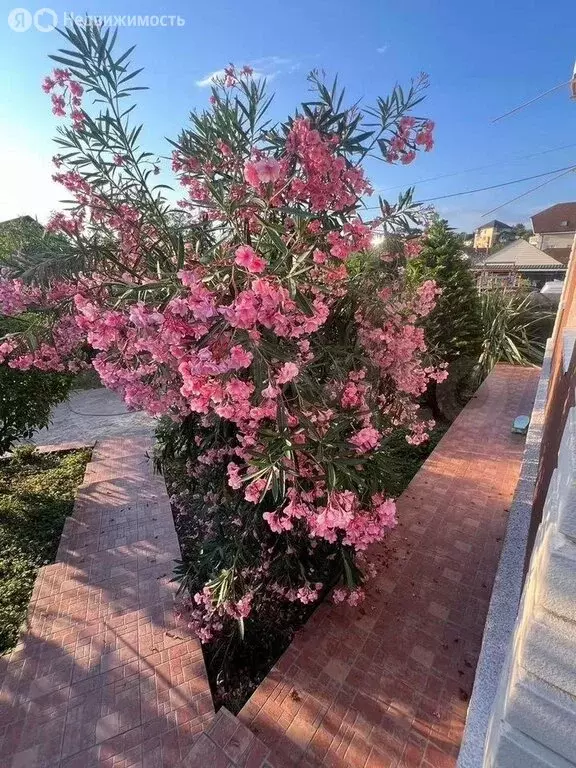 Дом в Сочи, микрорайон Соболевка (233 м) - Фото 0