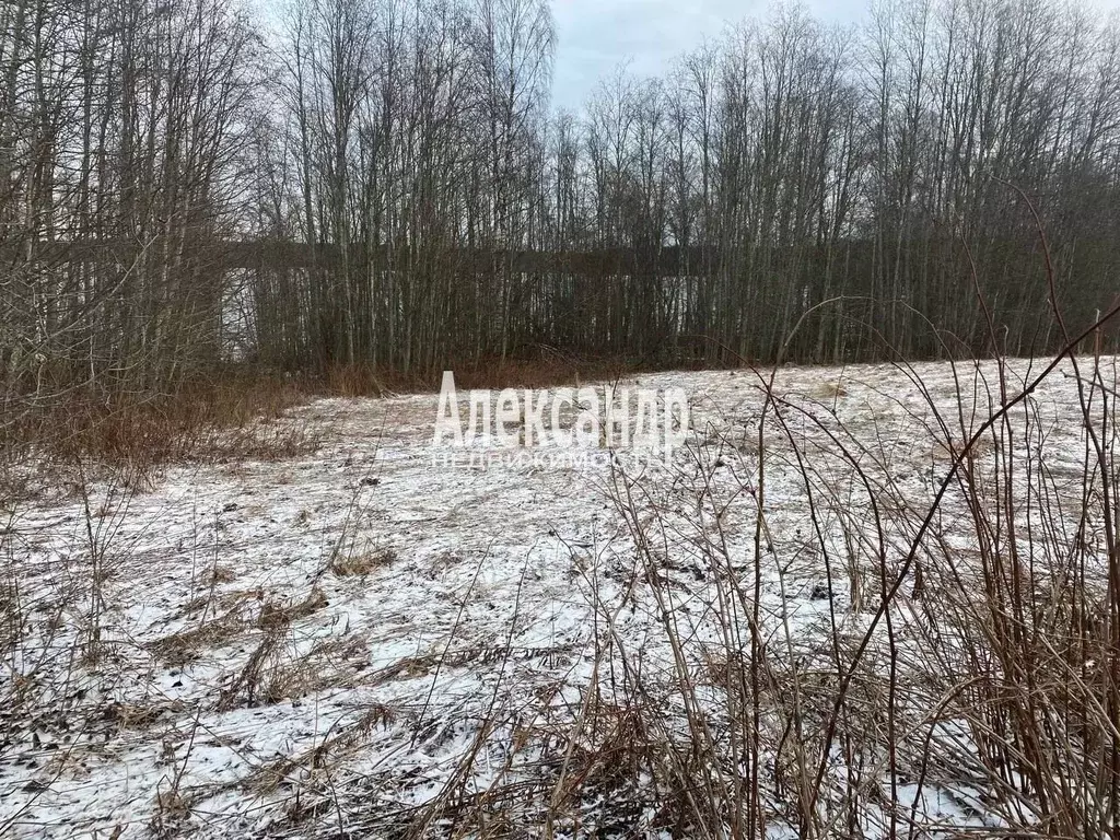 Участок в Карелия, Лахденпохский муниципальный округ, пос. Сикопохья  ... - Фото 2