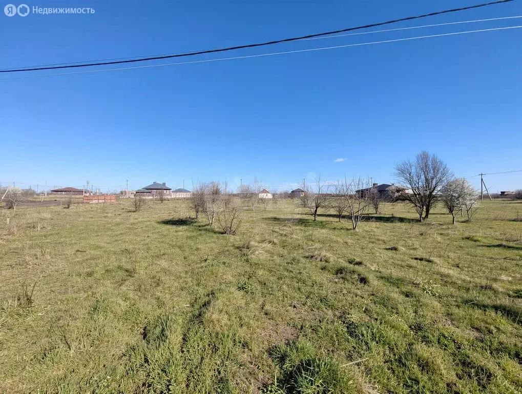 Участок в Славянск-на-Кубани, Успенская улица (8.1 м) - Фото 2