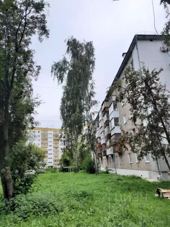 1-к кв. Пермский край, Пермь Магистральная ул., 96/2 (31.0 м) - Фото 1