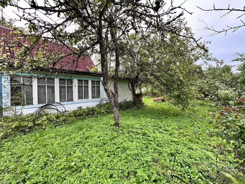 Участок в Ленинградская область, Кировский район, Синявинское ... - Фото 1