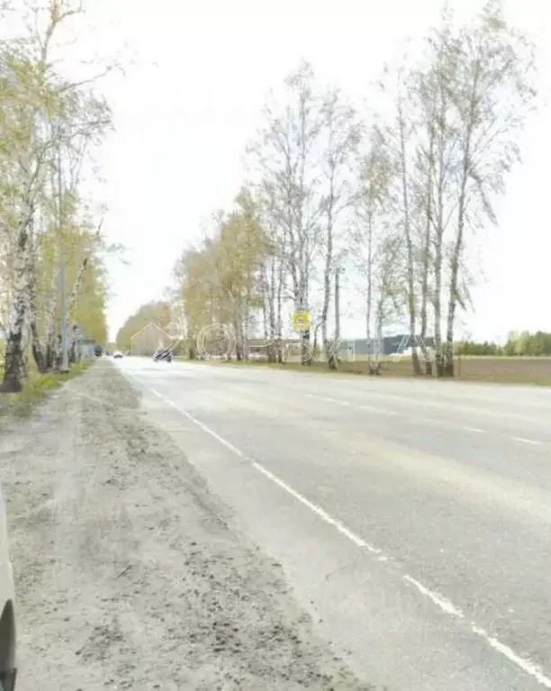 Участок в Тюменская область, Тюменский муниципальный округ, д. ... - Фото 2