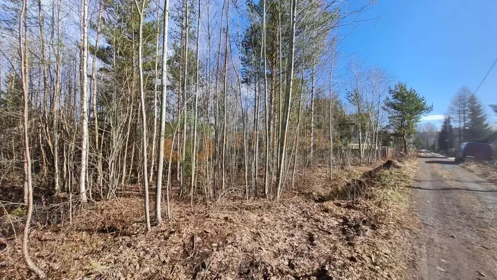 Участок в Ленинградская область, Всеволожский район, Сертоловское ... - Фото 1