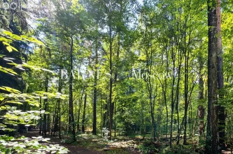 Участок в Одинцово, ДСК Баковка (50 м) - Фото 1