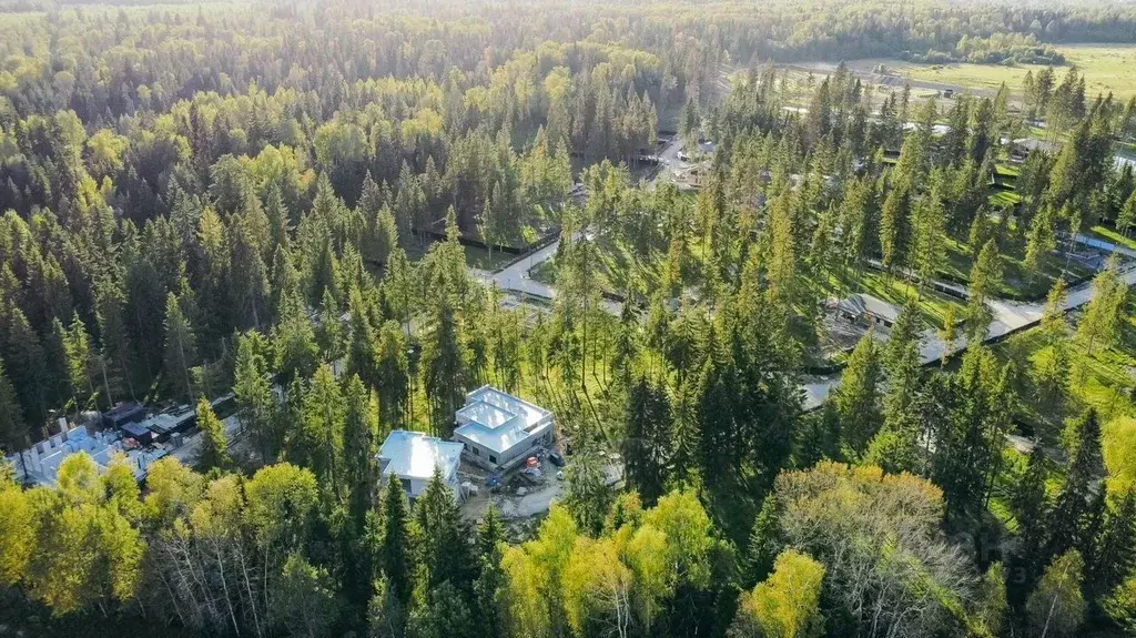 Участок в Московская область, Истра муниципальный округ, с. Павловская ... - Фото 2