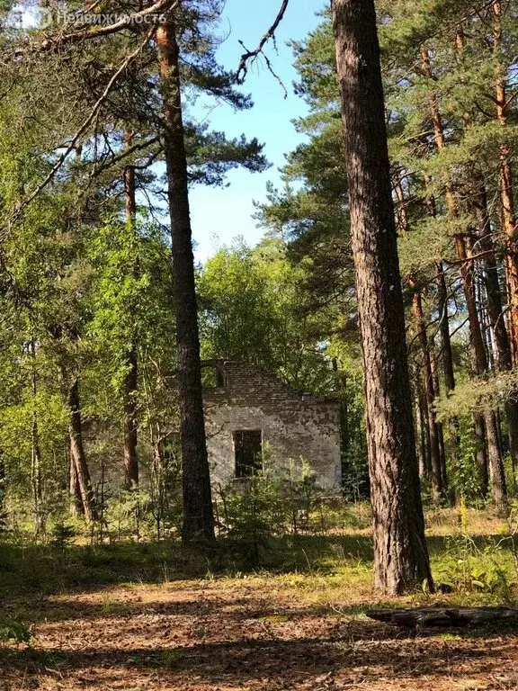 Дом в Усть-Лужское сельское поселение, деревня Конново (108 м) - Фото 1