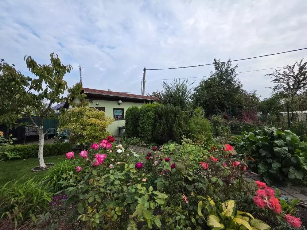 Участок в Калининградская область, Калининград Победа садовое ... - Фото 2