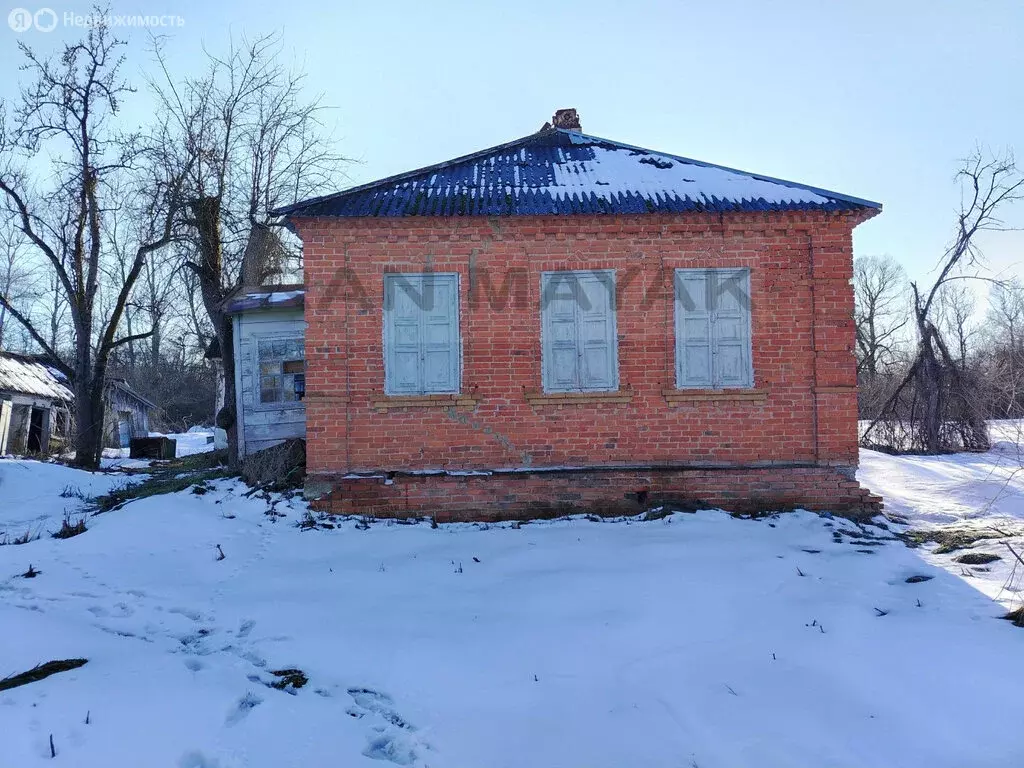 Участок в станица Кужорская, улица Фрунзе, 1 (15 м) - Фото 1