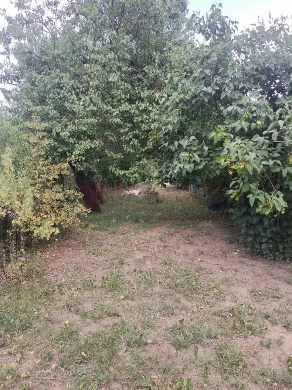 Участок в Ростовская область, Новочеркасск № 6 садовое товарищество, ... - Фото 2