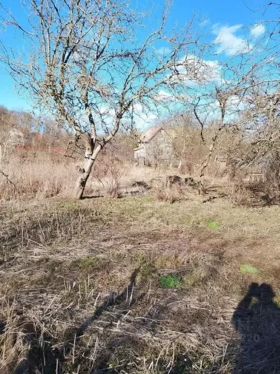 Участок в Калининградская область, Балтийск Урожай Балтийска СНТ, ул. ... - Фото 2