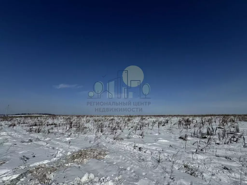 Участок в Иркутская область, Иркутский муниципальный округ, с. ... - Фото 2