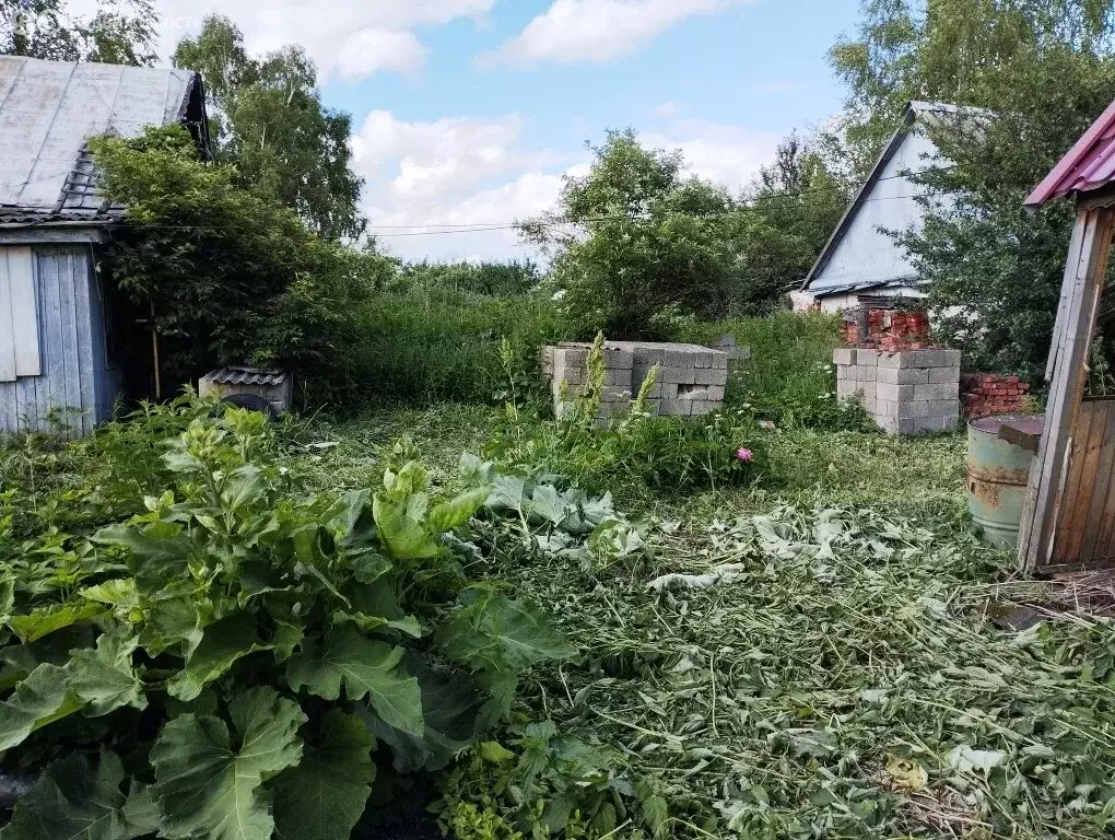 Дом в сельское поселение Иевлевское, деревня Щегловка, 28 (45 м) - Фото 0