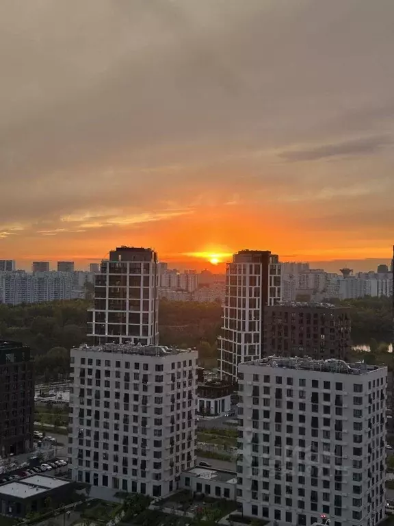 Студия Москва ул. Николая Озерова, 8к1 (28.0 м) - Фото 1