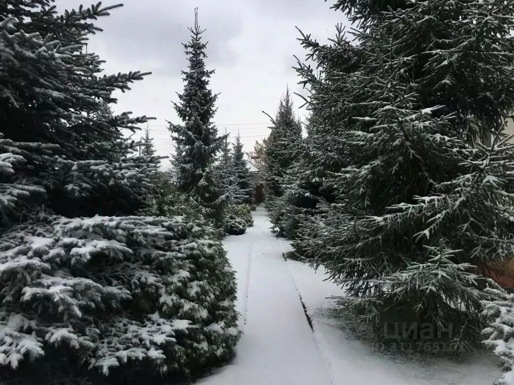 Дом в Самарская область, Ставропольский район, с. Подстепки ул. Мира ... - Фото 1