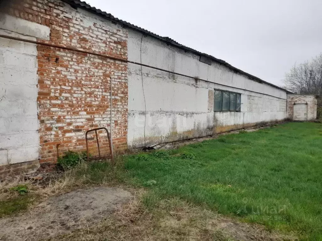 Производственное помещение в Белгородская область, Корочанский район, ... - Фото 1