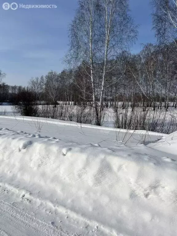 Участок в Мошковский район, некоммерческое садоводческое товарищество ... - Фото 0