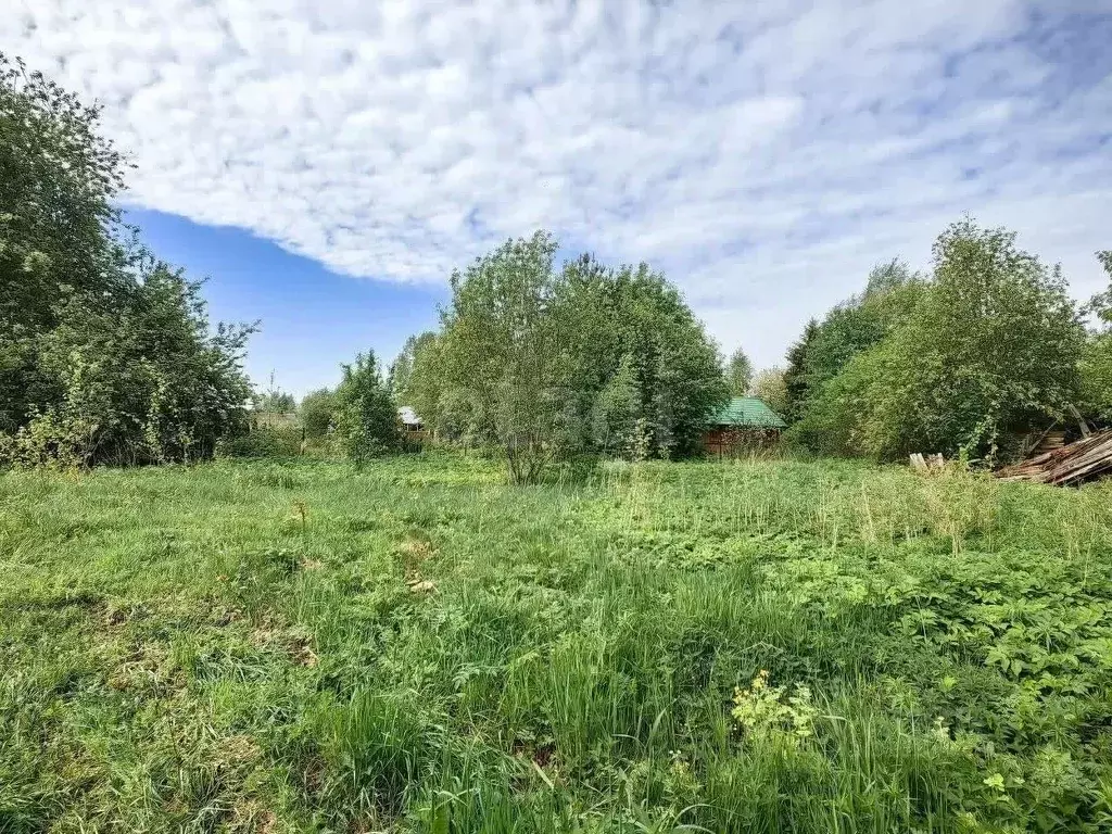 Участок в Ленинградская область, Волховский район, Пашское с/пос, д. ... - Фото 1