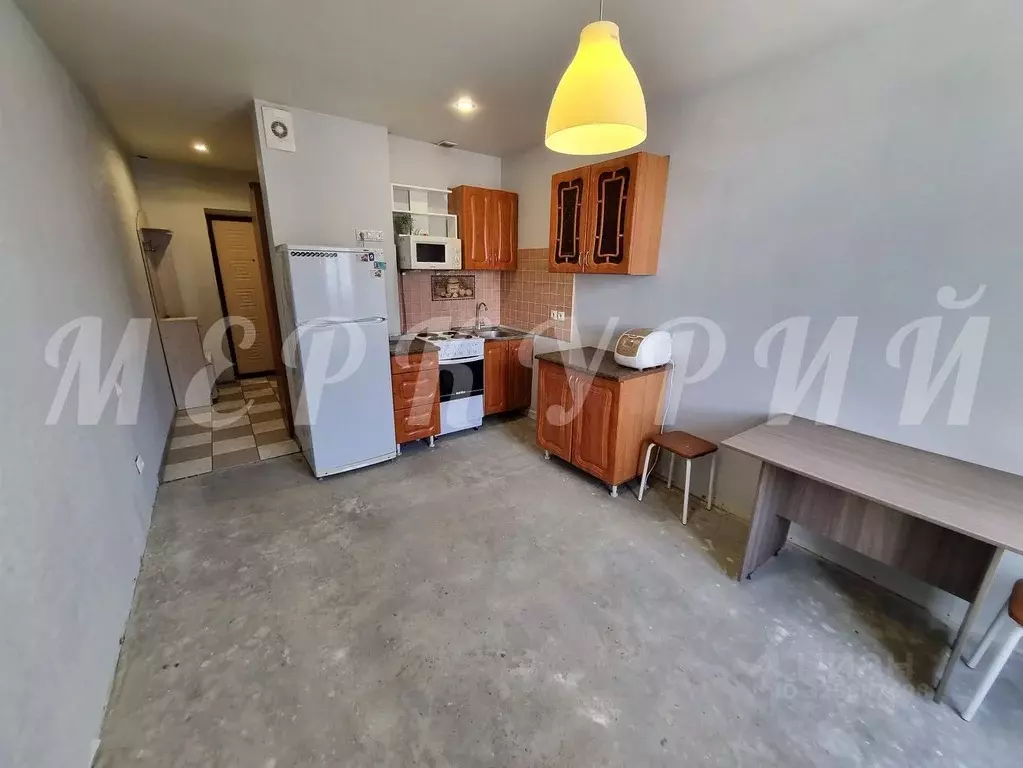 Студия Новосибирская область, Новосибирск ул. Виктора Уса, 13 (20.0 м) - Фото 1