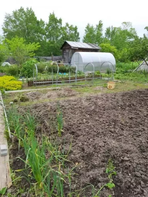 Дом в Сахалинская область, Южно-Сахалинск Медик СНТ, ул. Маерчака (12 ... - Фото 1