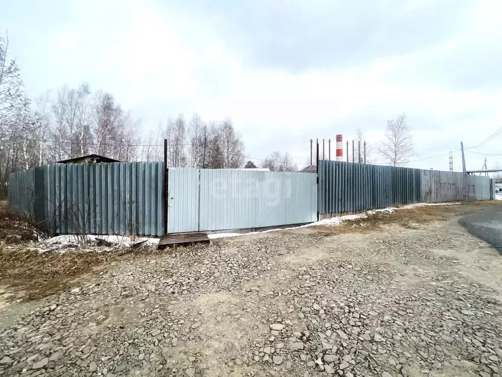 Участок в Ханты-Мансийский АО, Сургутский район, Белый Яр пгт Таежная ... - Фото 1