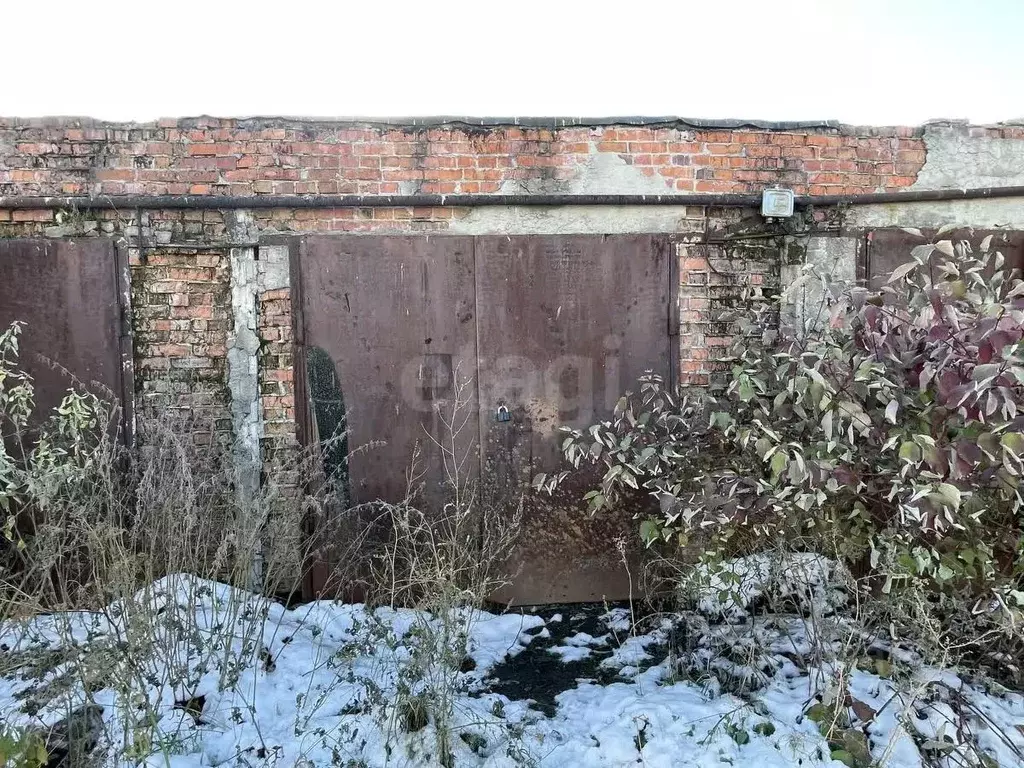 Гараж в Тюменская область, Тюмень ул. Мельникайте, 123А (20 м) - Фото 1