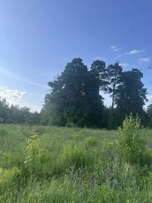 Участок в Московская область, Ленинский городской округ, д. Суханово  ... - Фото 1