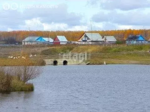 Участок в Свердловская область, Тугулымский муниципальный округ, село ... - Фото 1