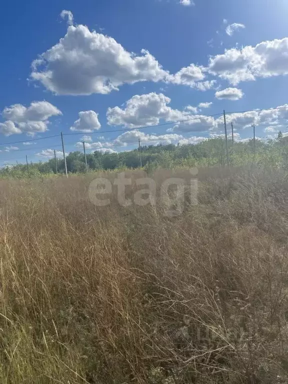 Участок в Оренбургская область, пос. Переволоцкий  (12.0 сот.) - Фото 2