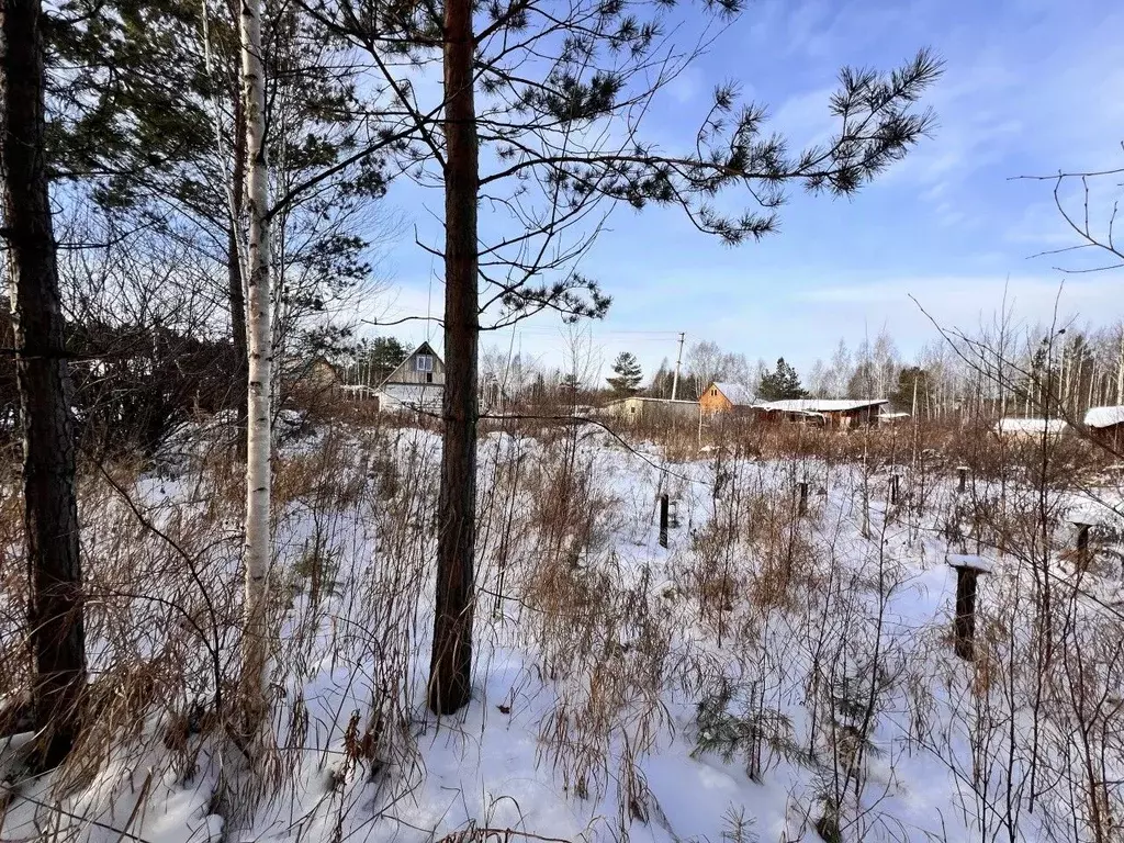 Участок в Свердловская область, Екатеринбург тракт Чусовской (8.5 ... - Фото 0