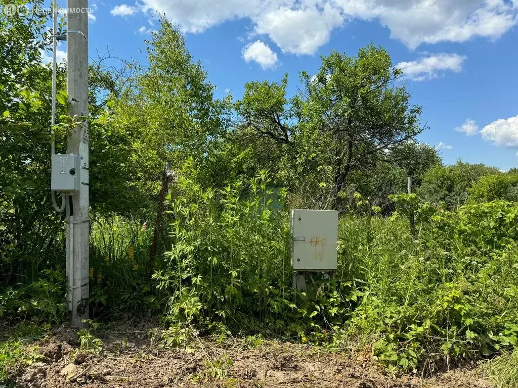 Участок в Пущино, СНТ Белок (12 м) - Фото 1