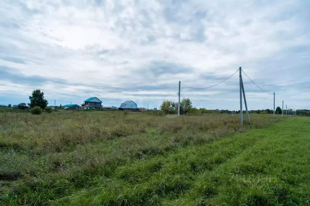 Участок в Алтайский край, Смоленский район, с. Смоленское ул. ... - Фото 2