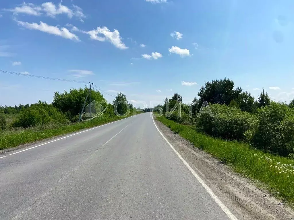Участок в Тюменская область, Нижнетавдинский район, д. Штакульская  ... - Фото 1