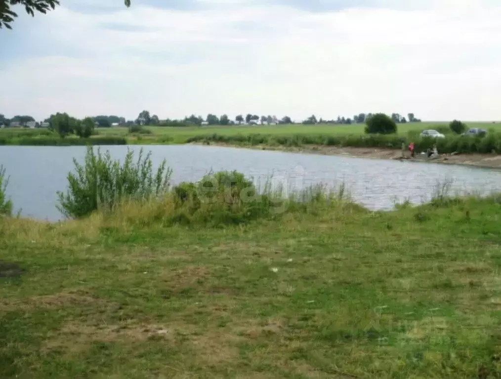 Участок в Марий Эл, Медведевский район, Азановское с/пос, д. Петяково ... - Фото 2