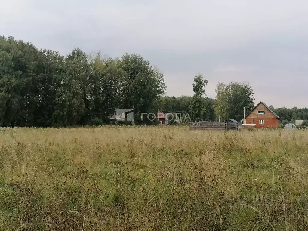 Участок в Новосибирская область, Мошково рп  (9.0 сот.) - Фото 0